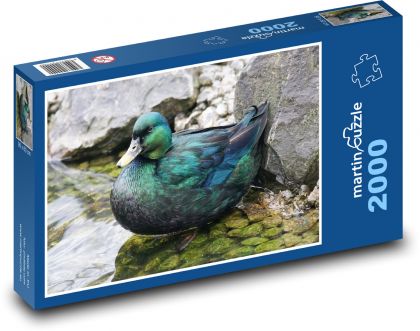 Kačica - vták, rybník - Puzzle 2000 dielikov, rozmer 90x60 cm 