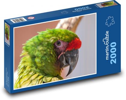 Ara - papoušek, pták - Puzzle 2000 dílků, rozměr 90x60 cm
