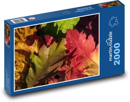 Listy stromu - jeseň, príroda - Puzzle 2000 dielikov, rozmer 90x60 cm 