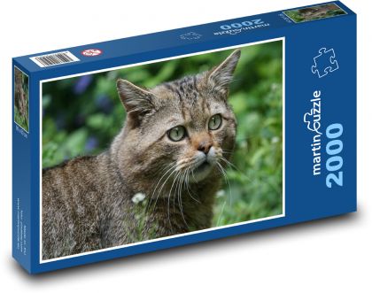 Divoká kočka - lesní zvíře, dravec - Puzzle 2000 dílků, rozměr 90x60 cm