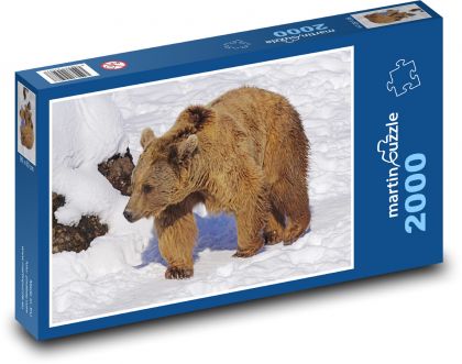 Hnedý medveď - sneh, zviera - Puzzle 2000 dielikov, rozmer 90x60 cm 