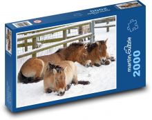 Wild horse - mammal, snow Puzzle 2000 pieces - 90 x 60 cm