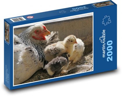 Chickens, poultry - Puzzle 2000 pieces, size 90x60 cm 