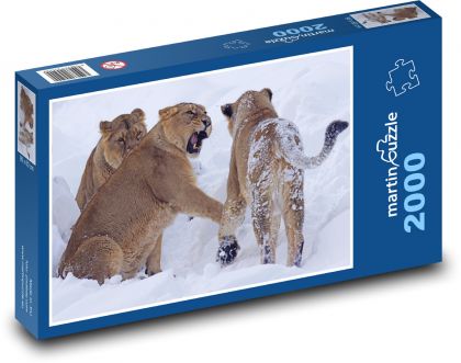 Lioness - snow, zoo - Puzzle 2000 pieces, size 90x60 cm 
