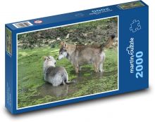 Wolf - Raubtier, Tier Puzzle 2000 Teile - 90 x 60 cm