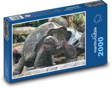 Želva obří - zvíře, zoo Puzzle 2000 dílků - 90 x 60 cm