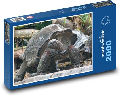 Želva obří - zvíře, zoo - Puzzle 2000 dílků, rozměr 90x60 cm