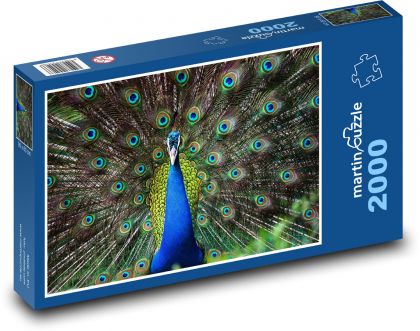 Peacock - bird, animal - Puzzle 2000 pieces, size 90x60 cm 