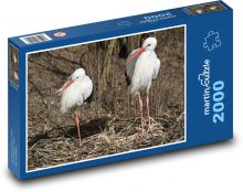 Bociany - vtáky, príroda Puzzle 2000 dielikov - 90 x 60 cm