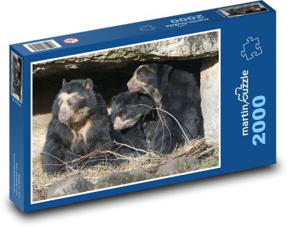 Medveď okuliarnatý - rodina, zoo - Puzzle 2000 dielikov, rozmer 90x60 cm 