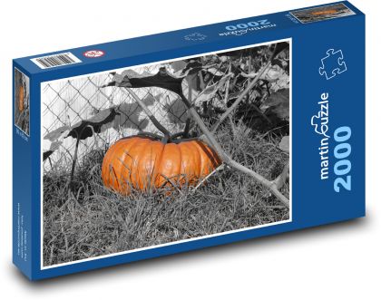 Kürbisse - Gemüse, Herbst - Puzzle - 2000 Teile