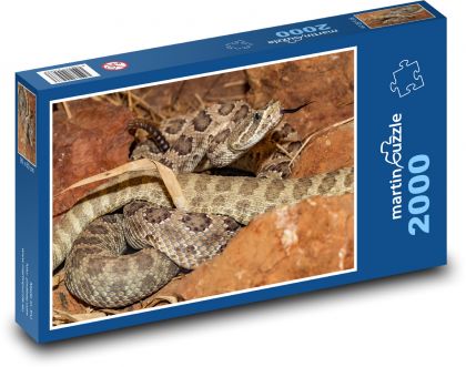 Rattlesnake - snake, reptile - Puzzle 2000 pieces, size 90x60 cm 