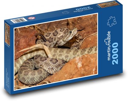 Klapperschlange - Schlange, Reptil - Puzzle - 2000 Teile