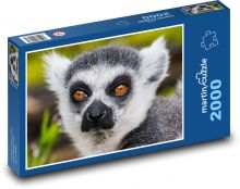 Opice - lemur, zvíře Puzzle 2000 dílků - 90 x 60 cm