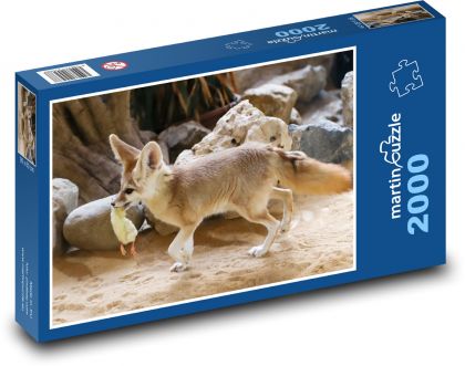 Púštna líška - zviera, cicavec - Puzzle 2000 dielikov, rozmer 90x60 cm 