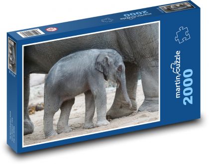 Asijský slon - mládě, savec - Puzzle 2000 dílků, rozměr 90x60 cm