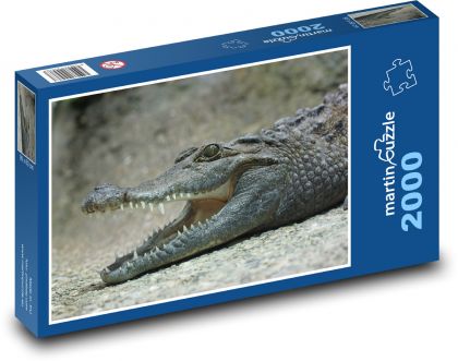 Krokodýl - ještěr, zuby - puzzle 2000 dílků