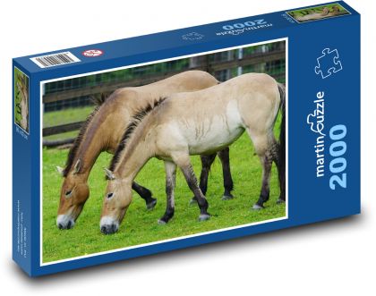 Przewalski-Pferd - wild, Tier - Puzzle - 2000 Teile