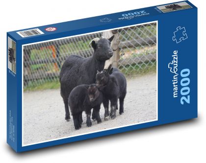 Zwergziege - Haustier - Puzzle - 2000 Teile