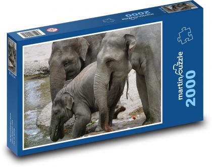 Slon - mládě, rodina - Puzzle 2000 dílků, rozměr 90x60 cm