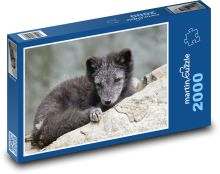 Polarfuchs - Raubtier, Tier Puzzle 2000 Teile - 90 x 60 cm