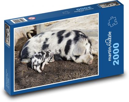 Pig - piglet, domestic animal - Puzzle 2000 pieces, size 90x60 cm 