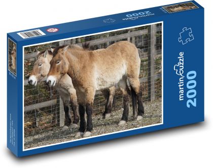Koń Przewalskiego - dziki koń, ssak - Puzzle 2000 elementów, rozmiar 90x60 cm
