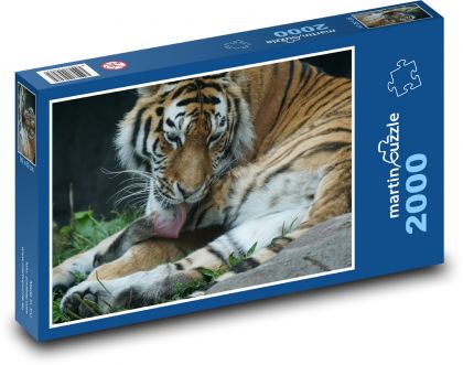 Tygr - kočka, zvíře - Puzzle 2000 dílků, rozměr 90x60 cm