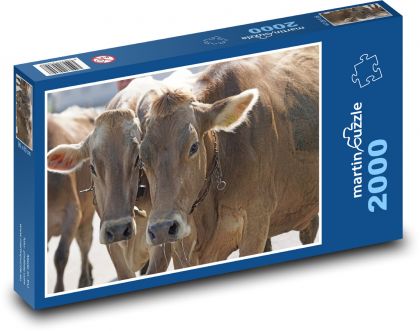 Kráva - domácí zvíře, farma - puzzle 2000 dílků