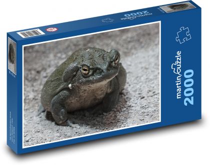 Ropucha - žába, zvíře - puzzle 2000 dílků