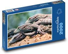 Varan - ještěr, plaz Puzzle 2000 dílků - 90 x 60 cm