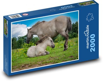 Koń - klacz, źrebię - Puzzle 2000 elementów, rozmiar 90x60 cm