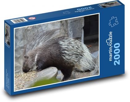 Dikobraz - hlodavec, zvíře - Puzzle 2000 dílků, rozměr 90x60 cm