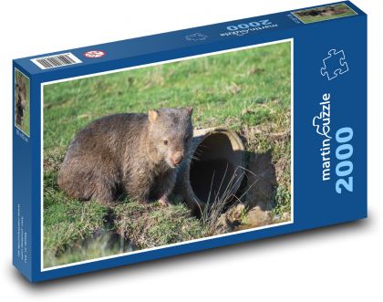 Wombat - zwierzę, zoo - Puzzle 2000 elementów, rozmiar 90x60 cm