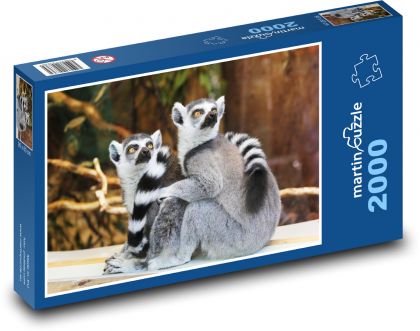 Lemur - zvíře, zoo - Puzzle 2000 dílků, rozměr 90x60 cm