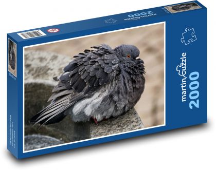 Holubice - pták, zvíře - puzzle 2000 dílků