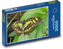 Motýl - hmyz, příroda Puzzle 2000 dílků - 90 x 60 cm