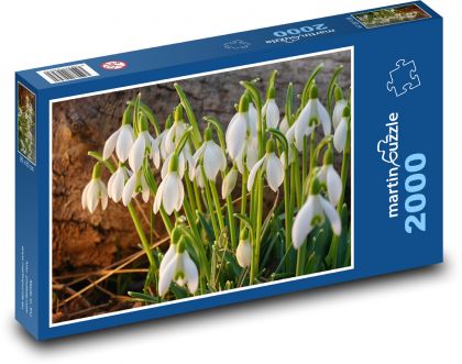 Snowdrops - white flowers, spring - Puzzle 2000 pieces, size 90x60 cm 