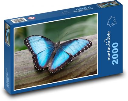 Morpho butterfly - blue butterfly, insect - Puzzle 2000 pieces, size 90x60 cm 
