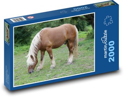 Kůň - pastvina, zvíře - Puzzle 2000 dílků, rozměr 90x60 cm