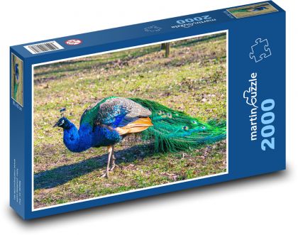 Paw - ptak, zwierzę - Puzzle 2000 elementów, rozmiar 90x60 cm