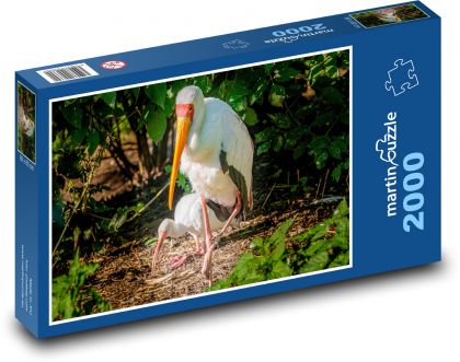 Ibis - vták, zviera - Puzzle 2000 dielikov, rozmer 90x60 cm 