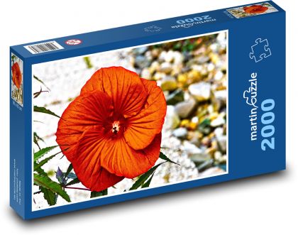 Červený ibišek - květ, zahrada - puzzle 2000 dílků