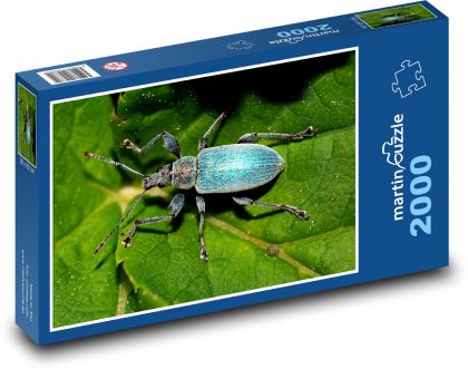 Chroust - brouk, hmyz - Puzzle 2000 dílků, rozměr 90x60 cm