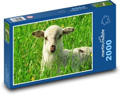 Lamm - Schaf, Wiese - Puzzle - 2000 Teile