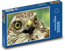 Krahujec - vták, dravec Puzzle 2000 dielikov - 90 x 60 cm