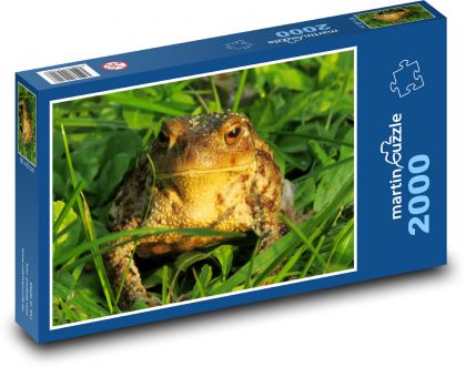 Ropucha - žába, obojživelník - Puzzle 2000 dílků, rozměr 90x60 cm