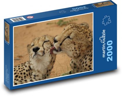 Cheetah - cat, beast - Puzzle 2000 pieces, size 90x60 cm 