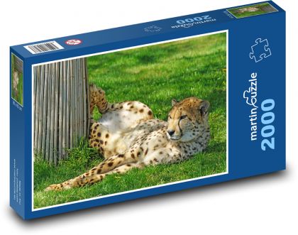 Gepard - šelma, zoo - Puzzle 2000 dielikov, rozmer 90x60 cm 