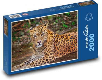 Leopard - Tier, Tier - Puzzle - 2000 Teile
